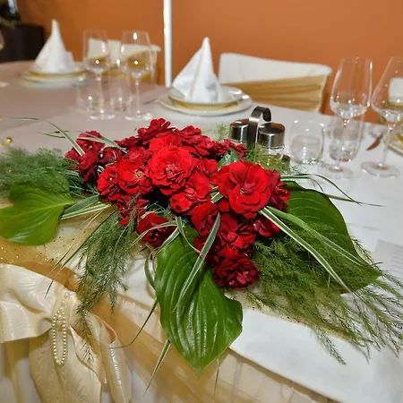 Hotel Comsar Rudo